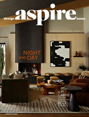 aspire design and home Chicago